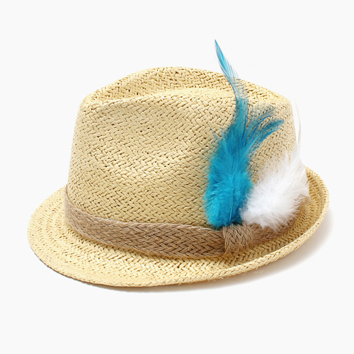 Feather Hat-blue