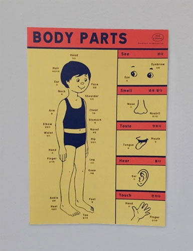 body parts Posteryellow
